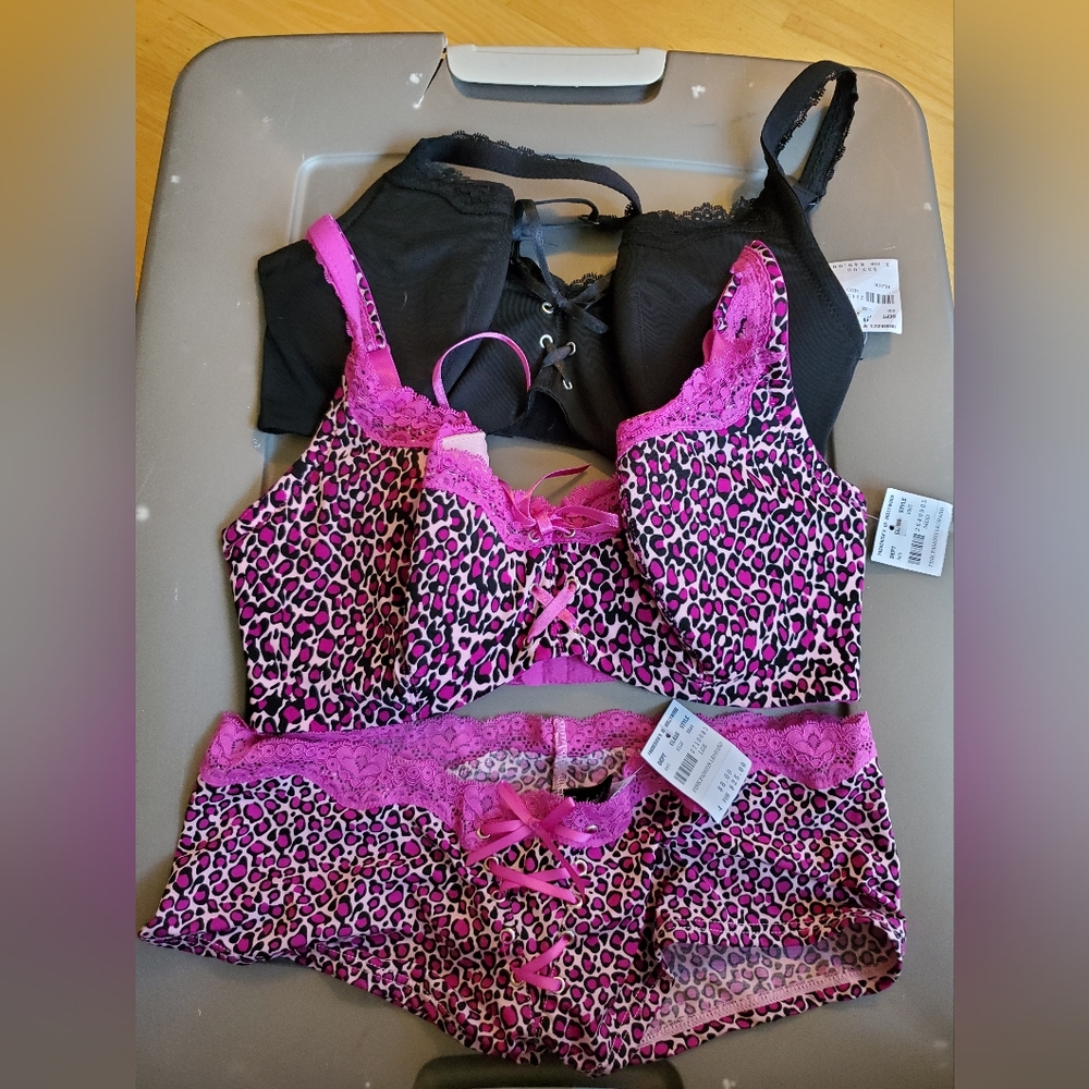 Frederick's of Hollywood 2 corset bras & 1 matching panty. NWT 34DD Large
